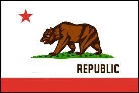 De quel Etat amricain provient ce drapeau ?