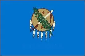 De quel Etat amricain provient ce drapeau ?