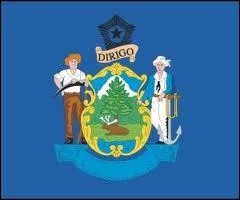 De quel Etat amricain provient ce drapeau ?