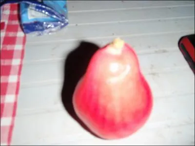 Ce fruit porte un nom trs courant dans les ftes foraines !