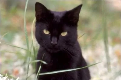 Se dit d'une personne profiteuse :