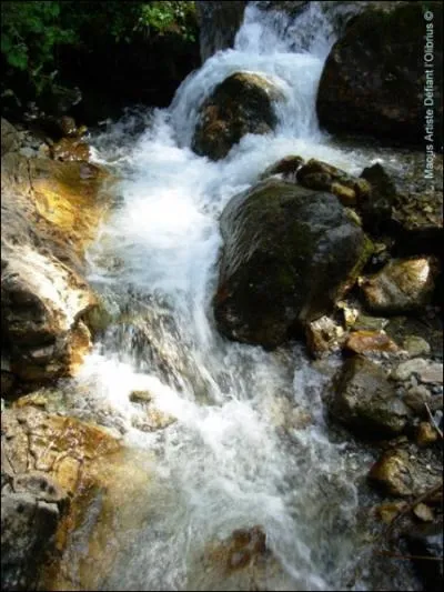 D'innombrables cours d'eau naissent en Suisse. Parmi eux l'Inn est une rivire qui prend sa source  2600 m d'altitude au Piz Lunghin, dans le canton des Grisons. C'est un affluent ...