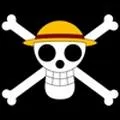 A qui appartient ce drapeau ?