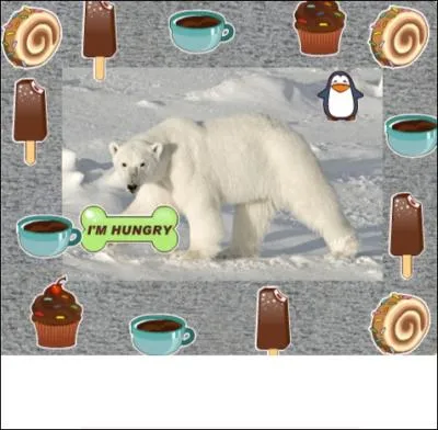 Qui est le petit de l'ours ?