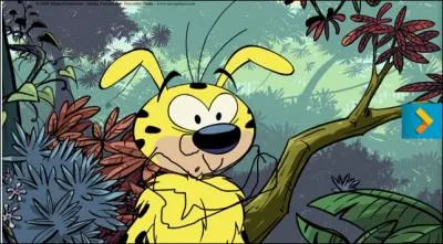 Est-ce que marsupilami existe ?