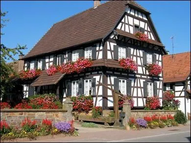 De quelle rgion est issue cette image ?