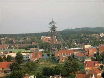 De quelle rgion est issue cette image ?