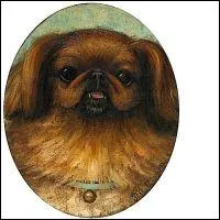 Qui a peint Le chien Caddie ?