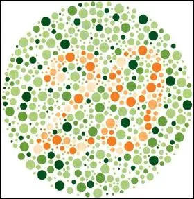 Pas trop dur ? Allez, quel nombre voyez-vous ?