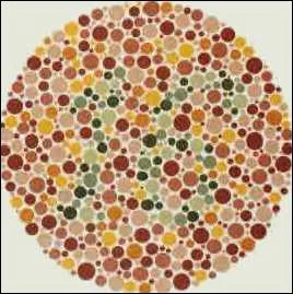 Plus dur, quel nombre distinguez-vous ?