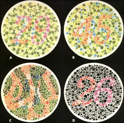 Que voyez-vous ? Attention, suivez l'ordre des images et agrandissez si ncessaire.