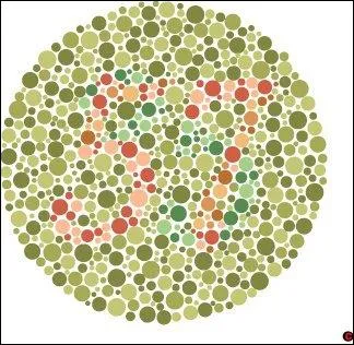 Vous tes toujours l ? Fin de la visite : quel nombre voyez-vous ?