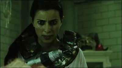 Dans quel(s) film(s) apparat Lynn Denlon ?