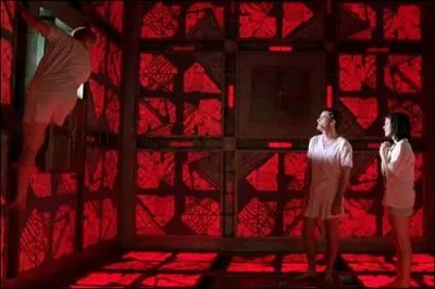 A quel film d'horreur s'apparente cette photo ?