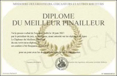 On ne dit pas : ''un pinailleur'' mais...