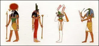 Il cre une 'sacre' zizanie chez les protecteurs des oiseaux, il envahit l'Ouest de la france !