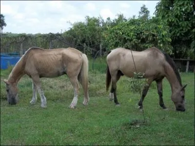 Il n'y a pas encore si longtemps, deux hommes politiques l'ont crois sur le pr !