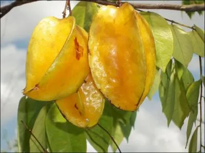 Ca peut finir, dans un enchevtrement inextricable, sur la route !