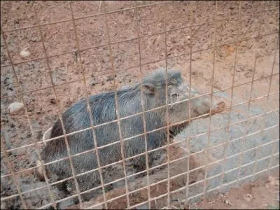 On peut dire qu'elle est mre de ragots !