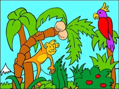 Combien y a-t-il de noix de coco ?