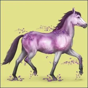 Comment s'appelle le cheval qui est en photo ci-joint ?