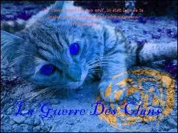 Qui ft le mentor de Nuage Gris ?