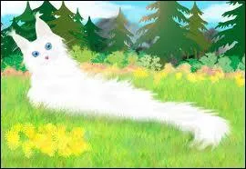 Qui a accus Croc Jaune d'avoir tu deux petits ?