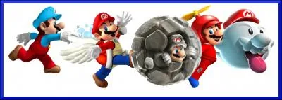 Depuis sa cration, Mario a matris de nombreuses transformations. Laquelle de ces transformations n'existe pas ?