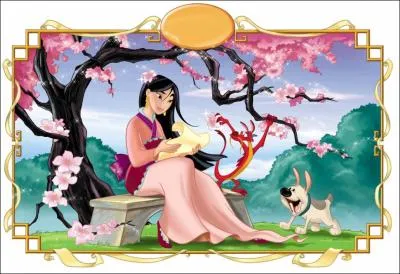 Combien y a-t-il de film de Mulan ?