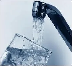 Qu'est-ce donc qu' 'une vache  eau'