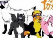 Quiz Naruto en chiens