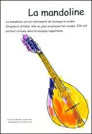 Le terme 'mandoline' dsigne aussi un ustensile de cuisine qui permet de couper facilement et rapidement les lgumes en rondelles.