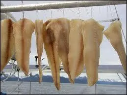 Chez nous, c'est une insulte, dans son pays, une spcialit !