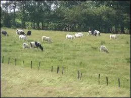 Son nom sent bon la campagne !