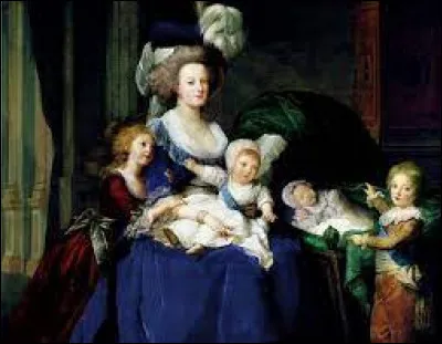 Le couple a attendu 8 ans de mariage avant d'avoir leur premier enfant ( Marie-Thérèse née en 1778). Quel était leur problème d'ordre sexuel ?