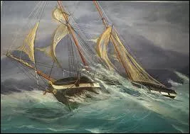 Ils y vivent sans s'essoufler !