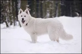 Son prnom n'voque pas l'obscurit !