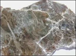 International, ferme comme un roc !