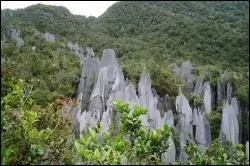 O peut-on observer ces pinacles ?