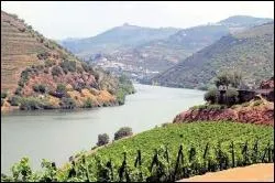 Ce fleuve a pour caractristique de traverser le Portugal d'est en ouest. Quel est son nom ?