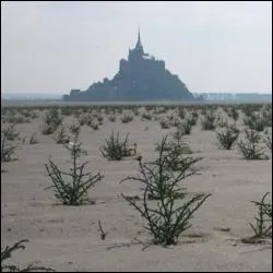 Parmi ces villes, laquelle ne fait pas partie de la baie du Mont-Saint-Michel ?