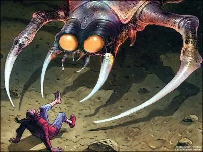 De quelle anne date la parution du premier album ?