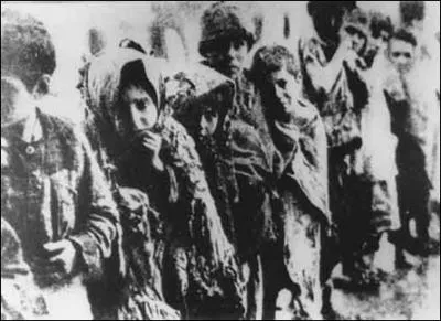 Gnocide des Armniens de la 1re guerre mondiale