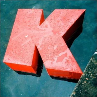 Concernant le Ku Klux Klan, quelle phrase est correcte ?