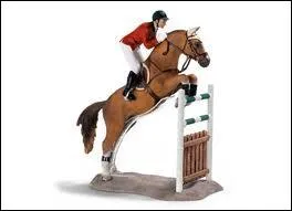 Franke Sloothaak / Allemagne / Equitation /...