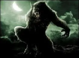 Le loup-garou est un humain qui a la capacit de se transformer, partiellement ou compltement, en :