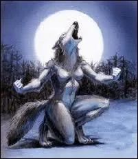On devient loup-garou soit  cause d'une maldiction soit  cause ...