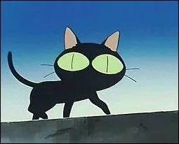 Dans quel manga voyons-nous ce chat ?