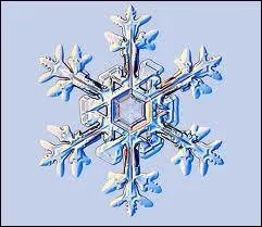 Dans le film de Disney Fantasia, quelle pice de musique accompagne la danse avec les flocons de neige des elfes et des feuilles ?