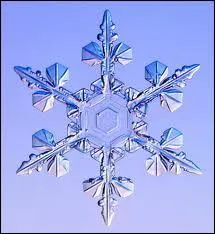 Qu'appelle-t-on les neiges ternelles ?